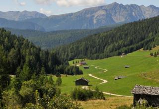 sommer-alm