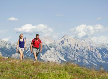 Un attimo che resta – fioritura delle rose alpine.