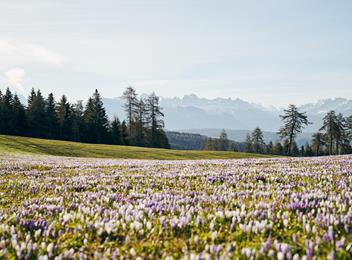 Zeit für Ruhe und Natur