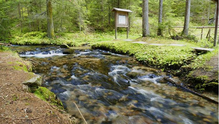 acqua-quigong-azzurra-forti