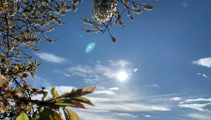 schoenwettergarantie
