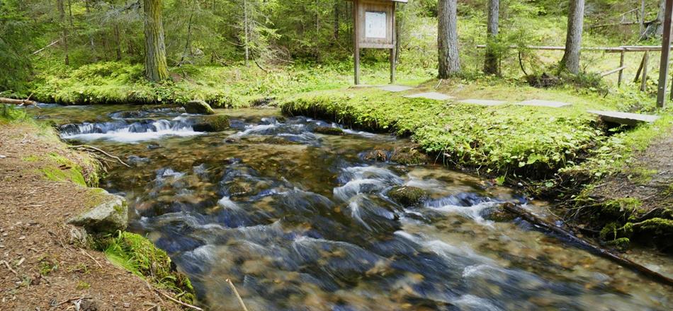 acqua-quigong-azzurra-forti